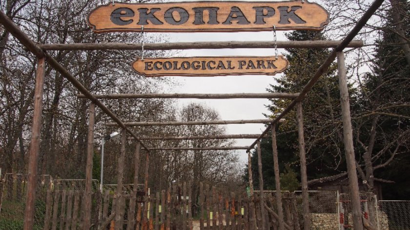 Частни лица искат 18 декара от Ботаническата градина във Варна