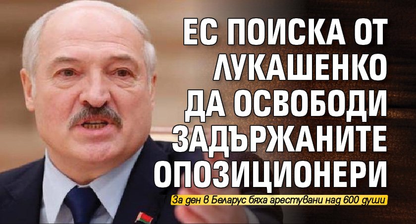 EС поиска от Лукашенко да освободи задържаните опозиционери 