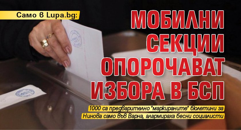 Само в Lupa.bg: Мобилни секции опорочават избора в БСП 