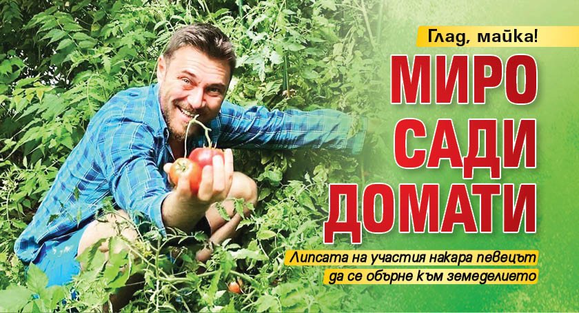 Глад, майка! Миро сади домати