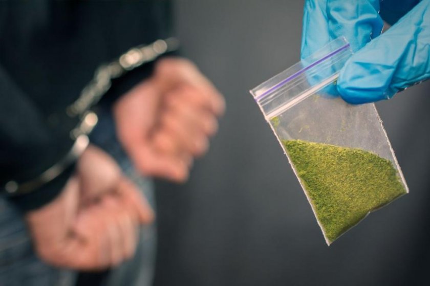 Разбиха домашна лаборатория за марихуана 