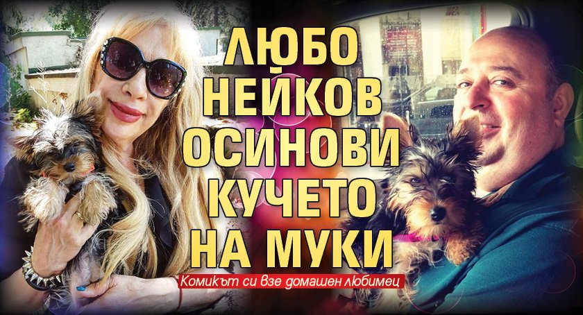 Любо Нейков осинови кучето на Муки