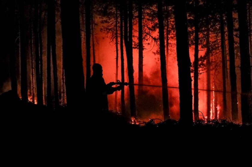 Голям пожар пламна в Благоевградско