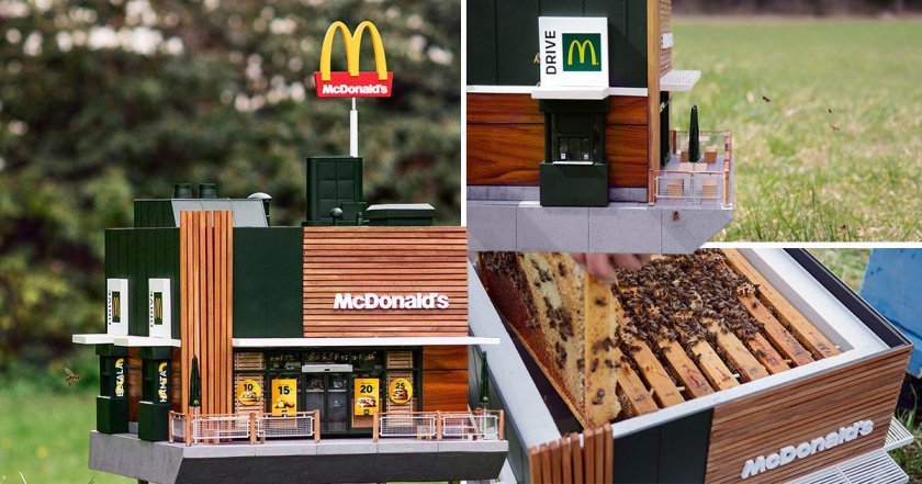 "Макдоналдс" откри ресторант за пчели