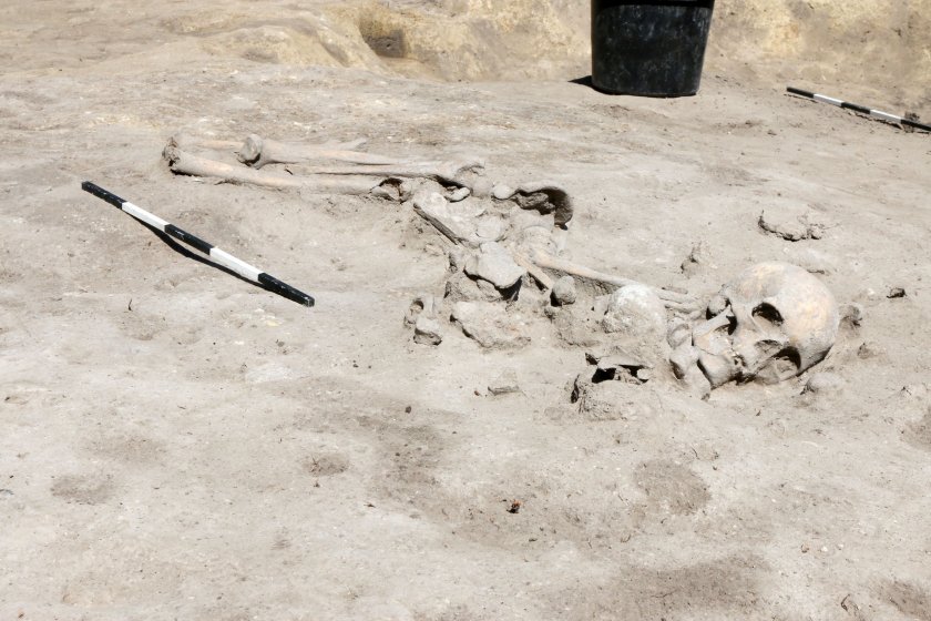 Скелет на 7000 години лъсна в София (ГАЛЕРИЯ)