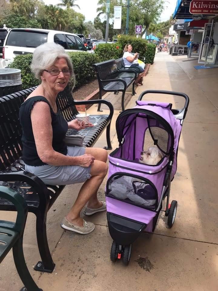 Американско бабе храни куче в количка (СНИМКИ)