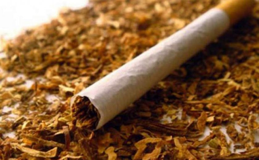 Разбиха депа за нелегален тютюн в четири села до Пловдив