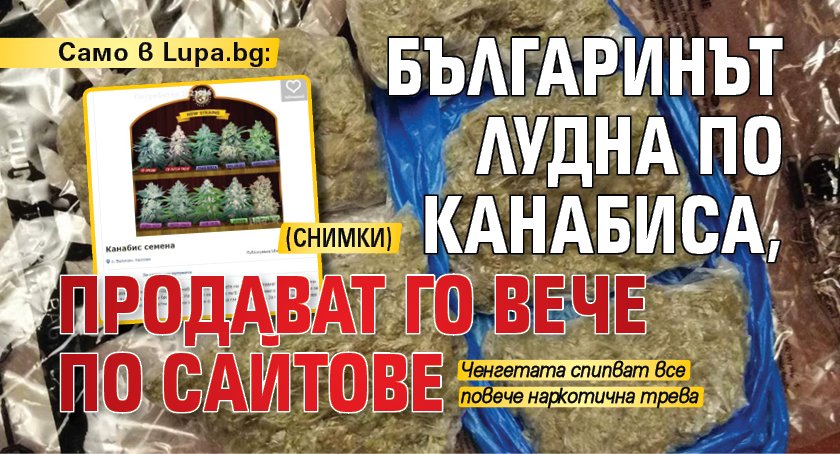 Само в Lupa.bg: Българинът лудна по канабиса, продават го вече по сайтове (СНИМКИ)