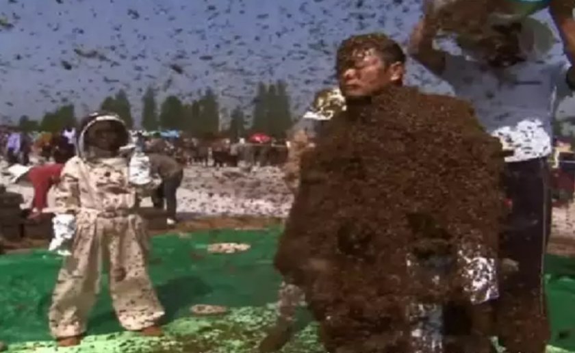 Луд: Мъж се покри с почти 64 кг пчели за рекорд на Гинес