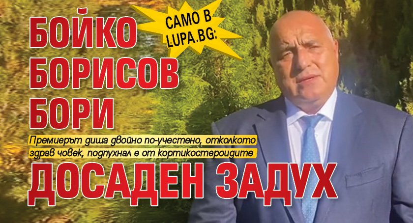 Само в Lupa.bg: Бойко Борисов бори досаден задух