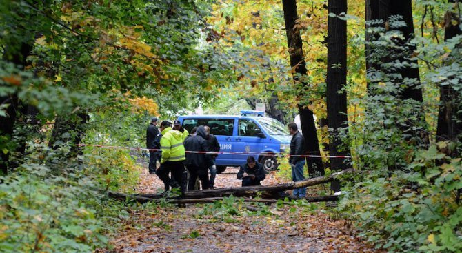 Дърво уби мъж в Кюстендил