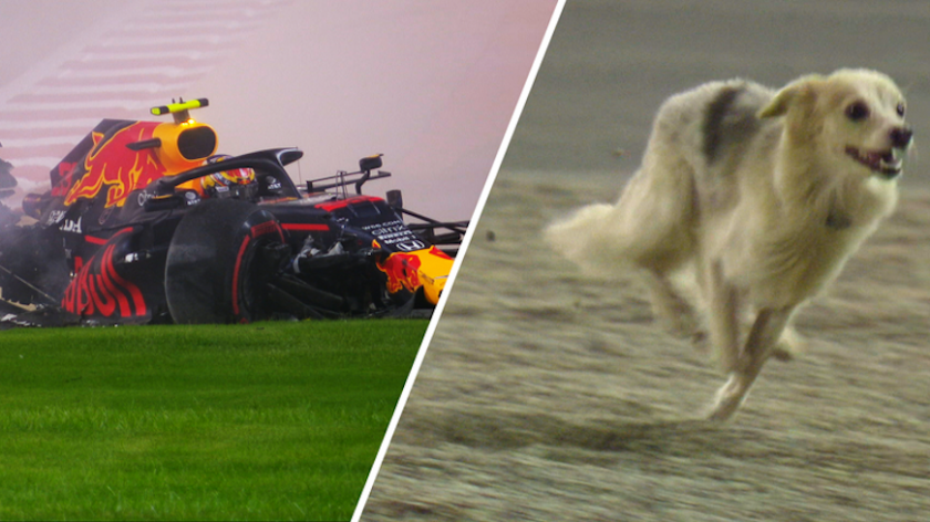 Куче спря втората тренировка на Люис Хамълтън в Бахрейн