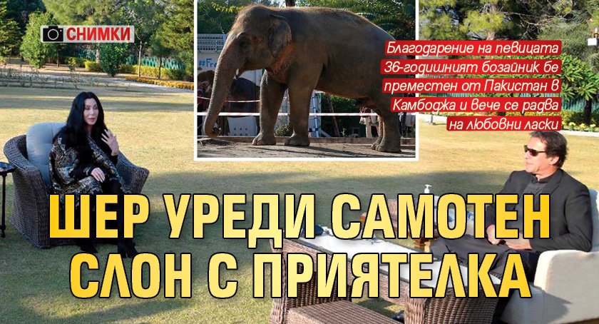 Шер уреди самотен слон с приятелка (СНИМКИ)