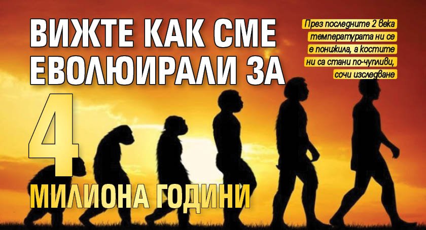 Вижте как сме еволюирали за 4 милиона години