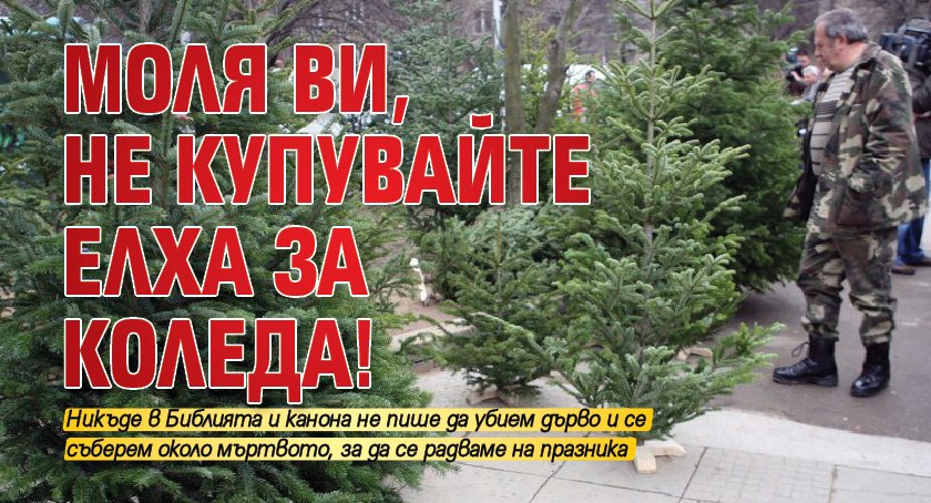 Моля ви, не купувайте елха за Коледа!