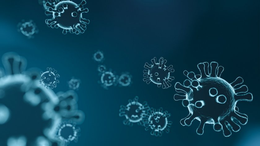От ЮАР: Откритият тук щам на коронавируса не е по-опасен от британския