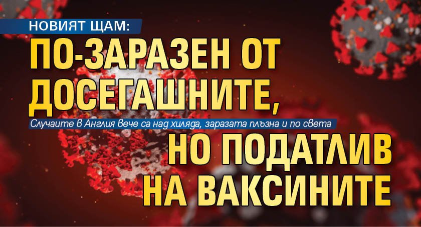 НОВИЯТ ЩАМ: По-заразен от досегашните, но податлив на ваксините