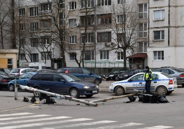 Силен вятър събори дървета и огради в София