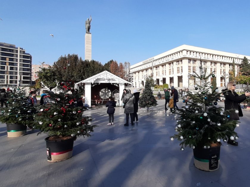 Стартира акция за засаждане на коледни елхи в Бургас