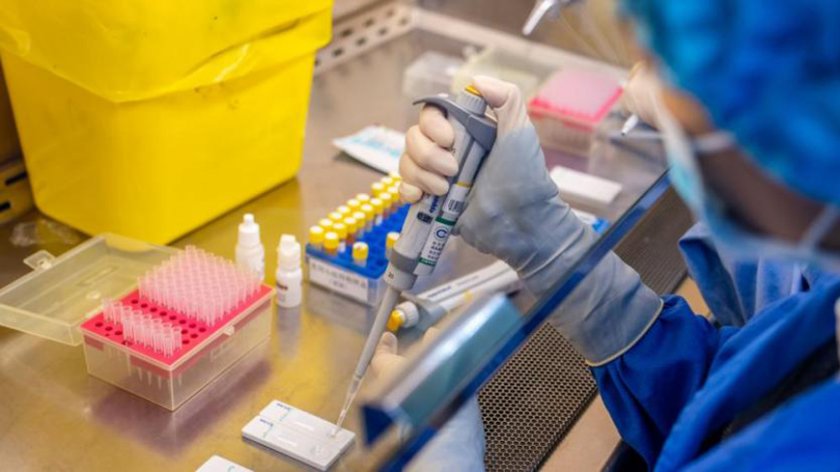 Германия въвежда PCR тест за влизащите от България