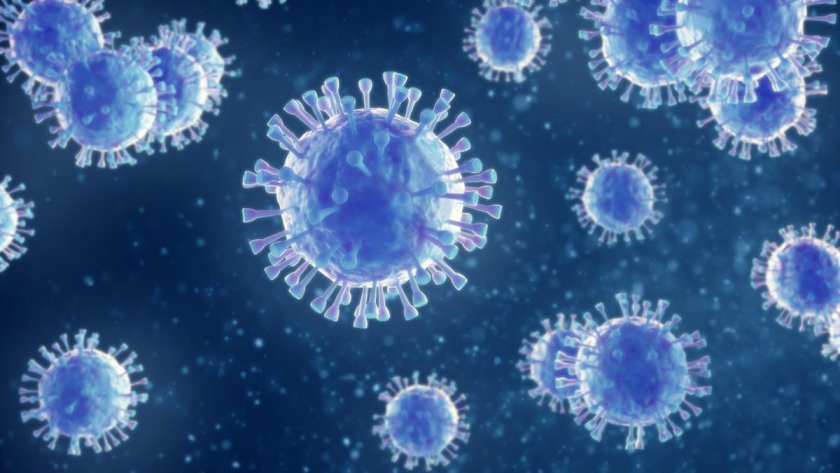 233 са новите случаи на коронавирус, 296 са излекувани