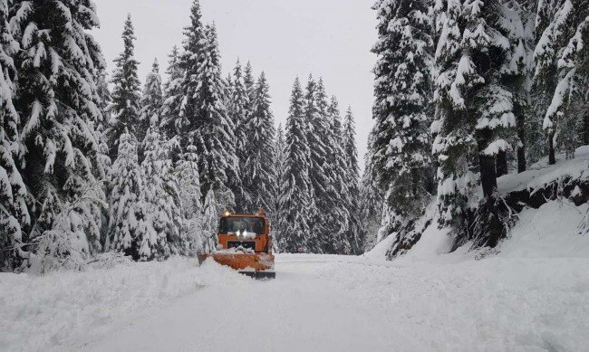 Две катастрофи са станали на пътя Монтана - Берковица