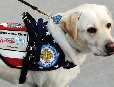 Кучето на Буш-старши ще се грижи за военни ветерани