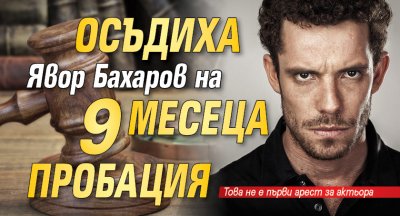 Осъдиха Явор Бахаров на 9 месеца пробация