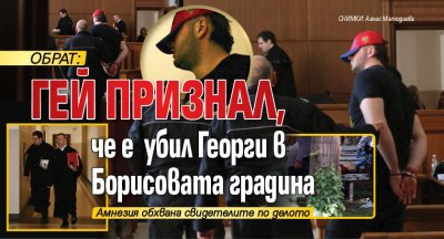 Обрат: Гей признал, че е убил Георги в Борисовата градина