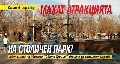 Само в Lupa.bg: Махат атракцията на столичен парк? 