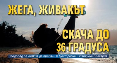 Жега, живакът скача до 36 градуса