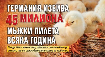 Германия избива 45 милиона мъжки пилета всяка година