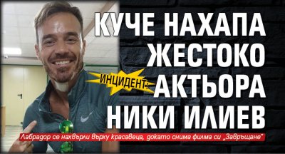 Инцидент: Куче нахапа жестоко актьора Ники Илиев