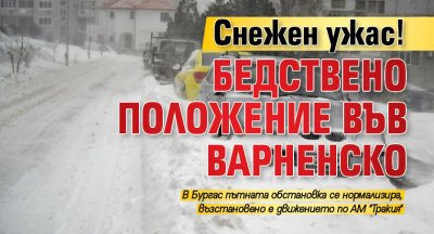 Снежен ужас! Бедствено положение във Варненско