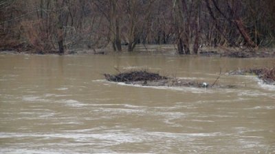 Риск от наводнения срещу 1-и февруари 