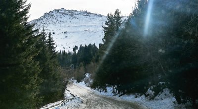 Пускат още автобуси до Витоша