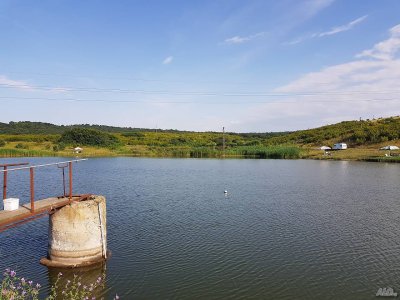 Само два язовира пълни под половината