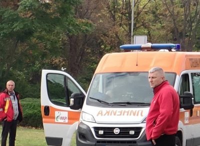 Пони ритна в корема дете в парк