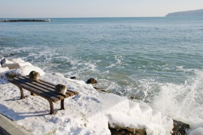 Във Варна стана 20 градуса - счупен е брадат рекорд