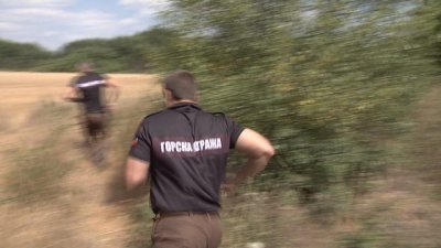 Нарушители пребиха горски служители, единият е в ареста