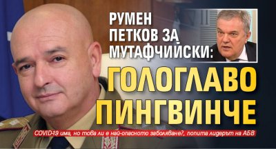 Румен Петков за Мутафчийски: Гологлаво пингвинче
