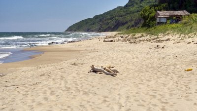 Дъждове отнесоха голяма част от плажа в Крайморие