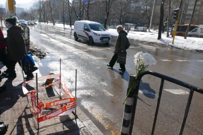 Викат Борисов и Фандъкова в парламента заради токовата смърт