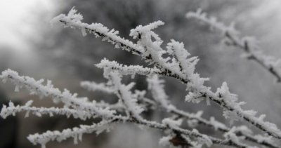 Жълт код за студ в 9 области, утре - за цяла България