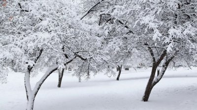 Труп на баба е открит в снега край дупнишкото село Баланово