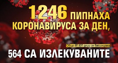 1246 пипнаха коронавируса за ден, 564 са излекуваните