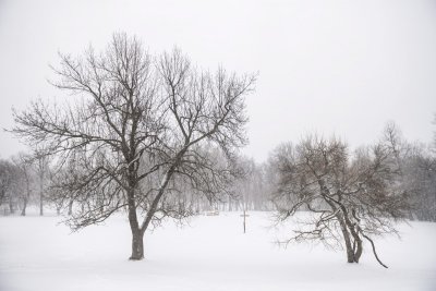 Пролетта в Европа ще закъснее