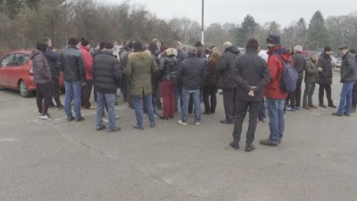 Производители на рози чакат фалити