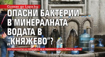 Сигнал до Lupa.bg: Опасни бактерии в минералната водата в "Княжево"?