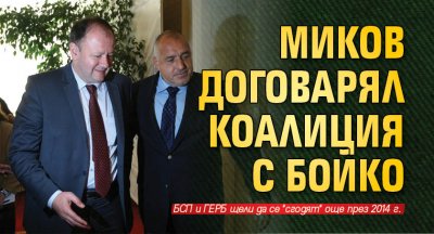 Миков договарял коалиция с Бойко